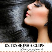 Extensions Cheveux Long Clip Lissage Jap...