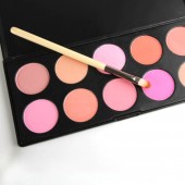 Palette Professionnelle 10 Fards Joues B...