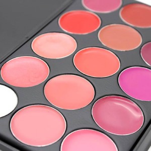 Palette Professionnelle 15 couleurs Rouge Gloss Levres Makeup Lips Glamour