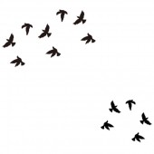 Tatouage Ephemere 19 Oiseaux Birds Noir ...